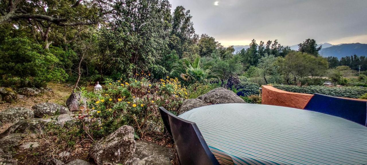Residence Les Jardins De Sainte-Lucie "Piscine Chauffee" Dış mekan fotoğraf