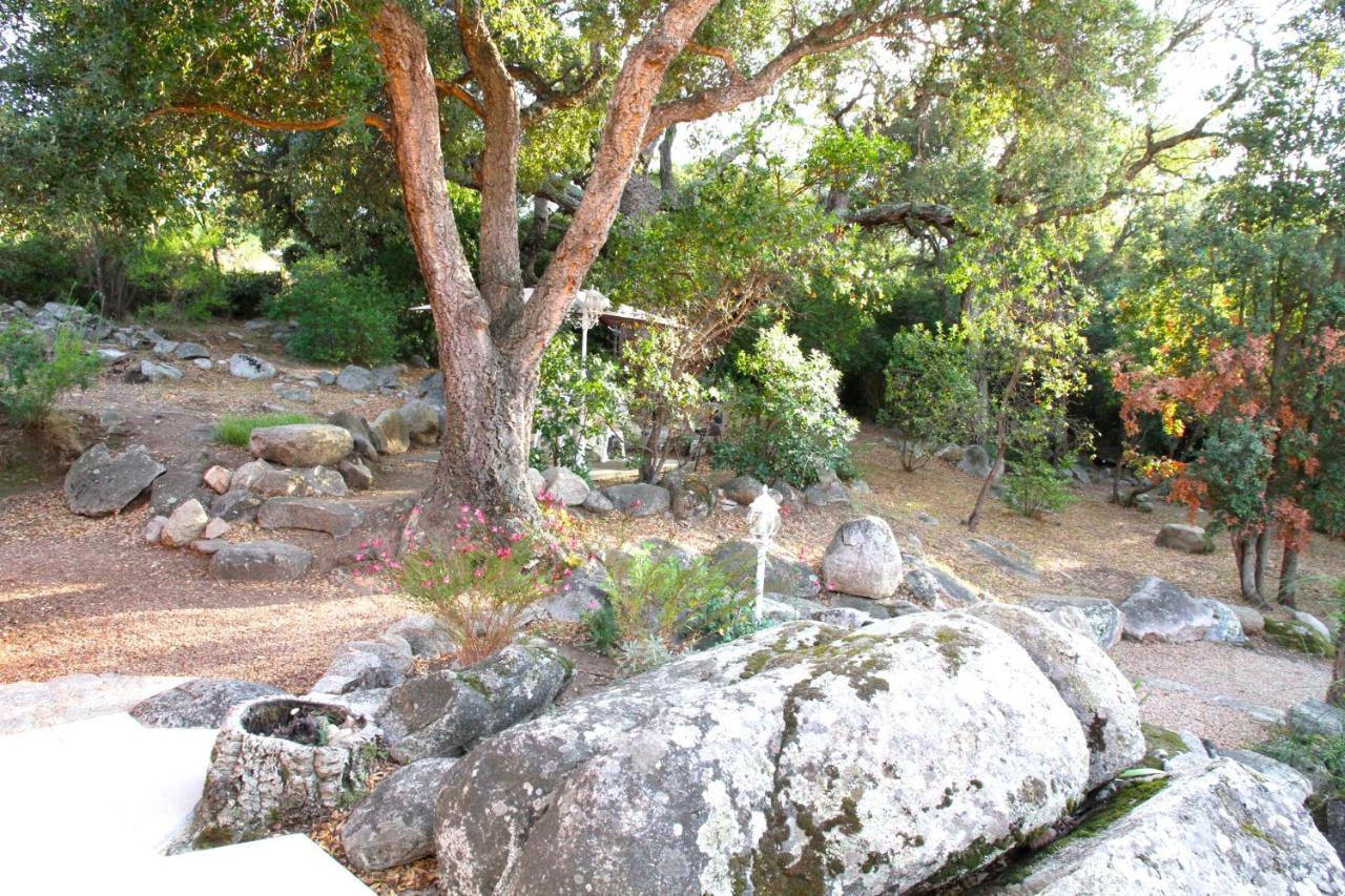 Residence Les Jardins De Sainte-Lucie "Piscine Chauffee" Dış mekan fotoğraf